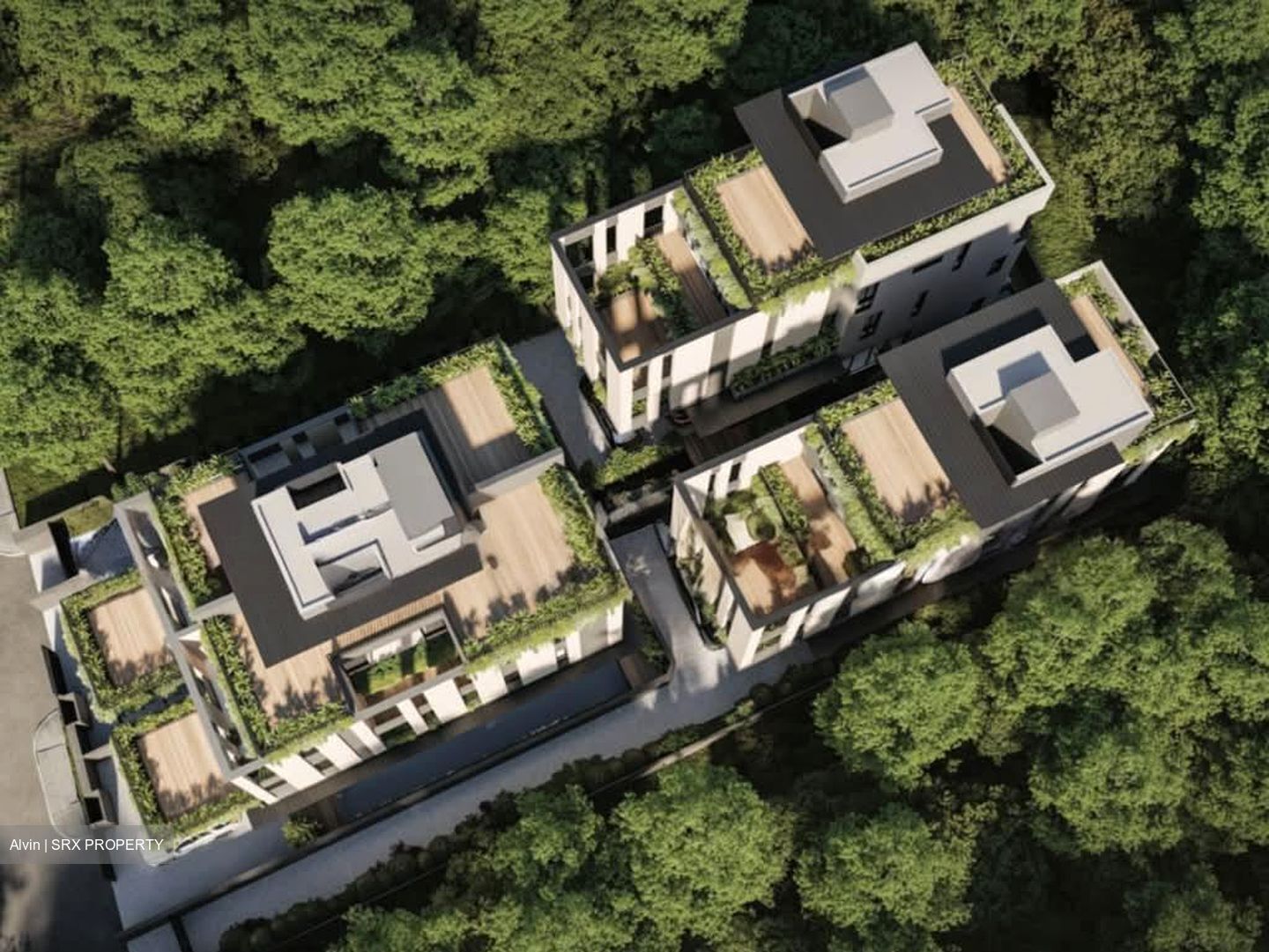 Palm Road (D15), Terrace #556154591